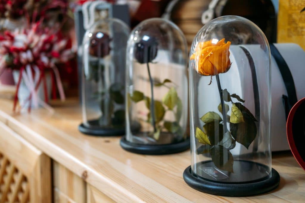 Rose éternelle sous cloche comment se faire livrer cette fleur à